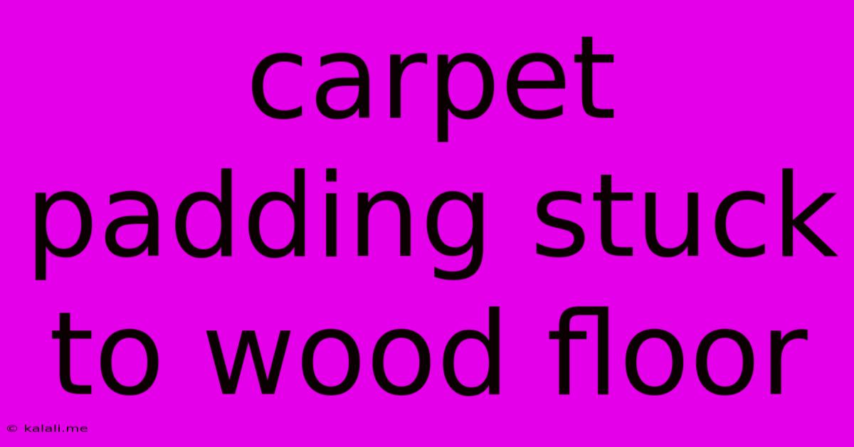 Carpet Padding Stuck To Wood Floor