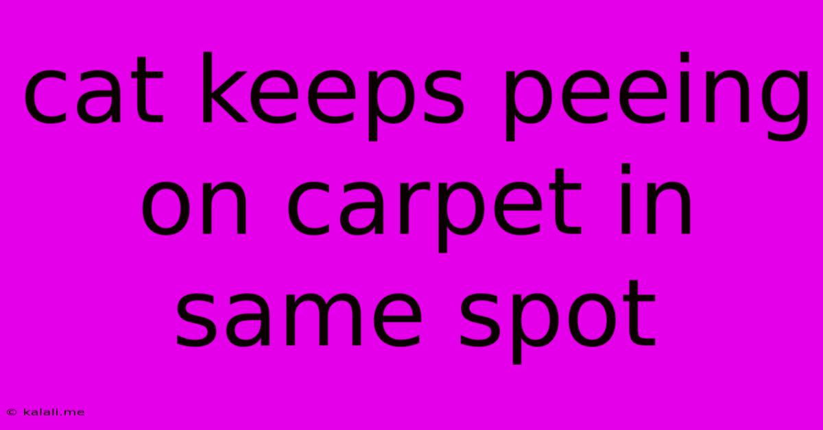 Cat Keeps Peeing On Carpet In Same Spot