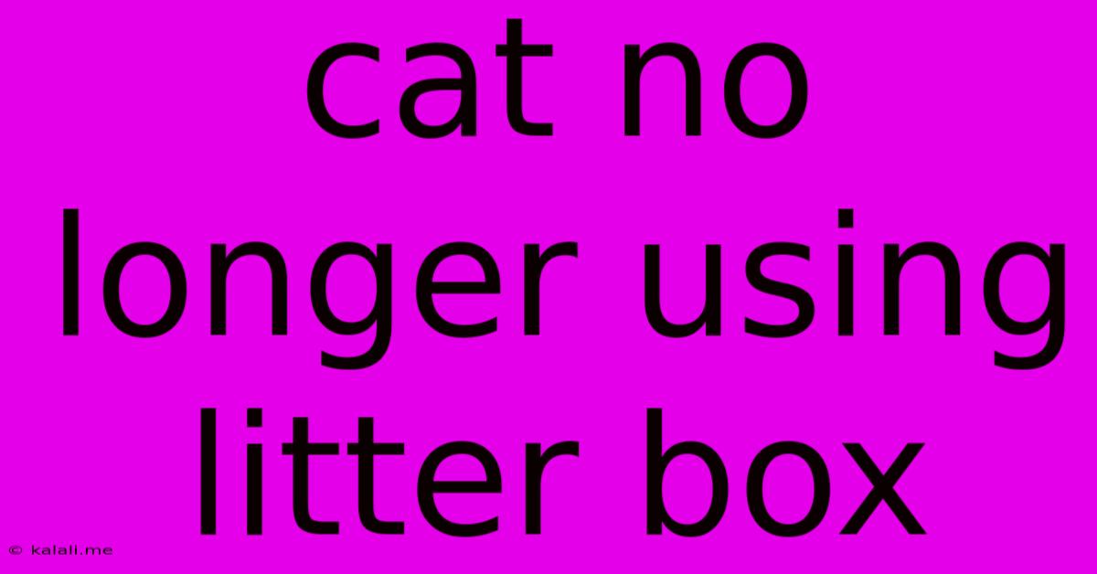 Cat No Longer Using Litter Box
