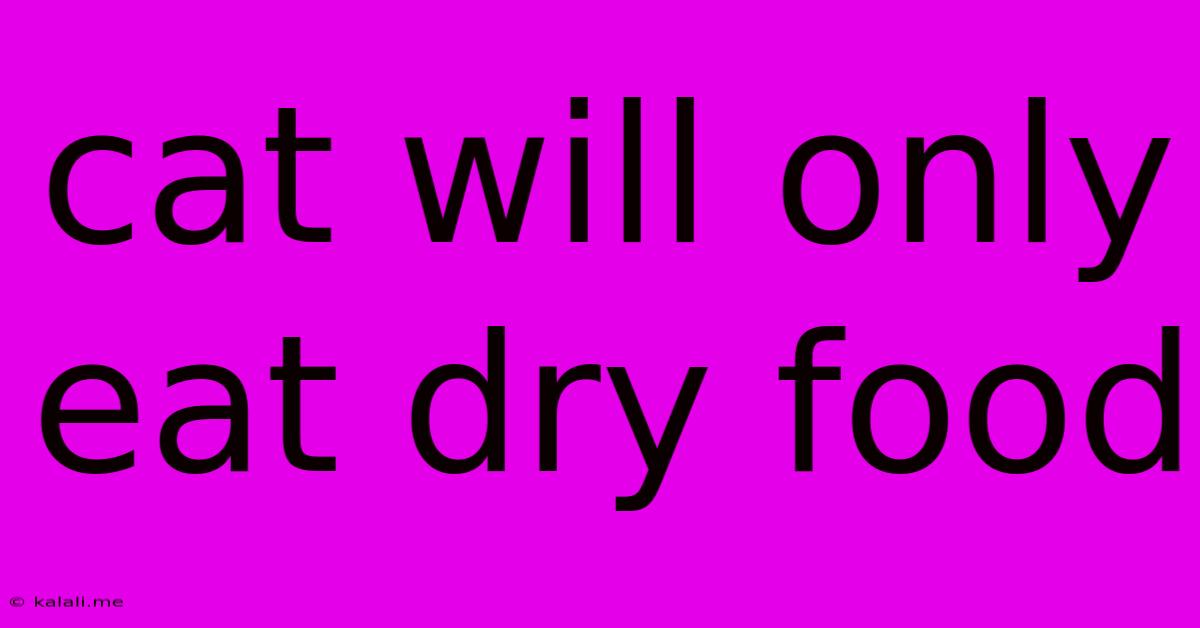 Cat Will Only Eat Dry Food