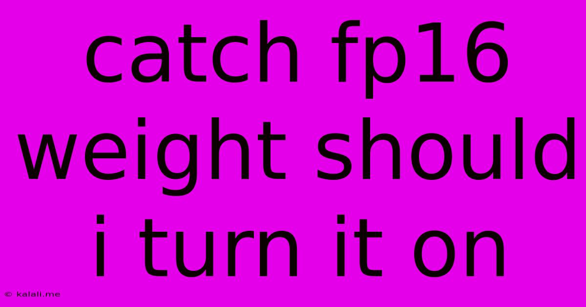 Catch Fp16 Weight Should I Turn It On