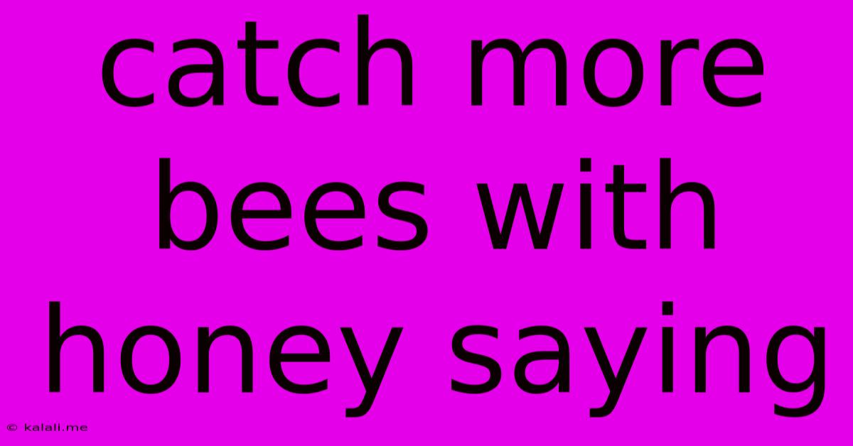 Catch More Bees With Honey Saying