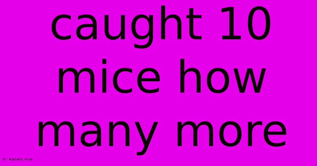 Caught 10 Mice How Many More