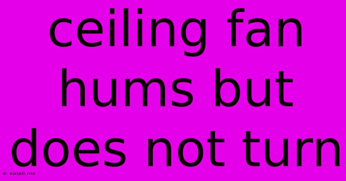 Ceiling Fan Hums But Does Not Turn