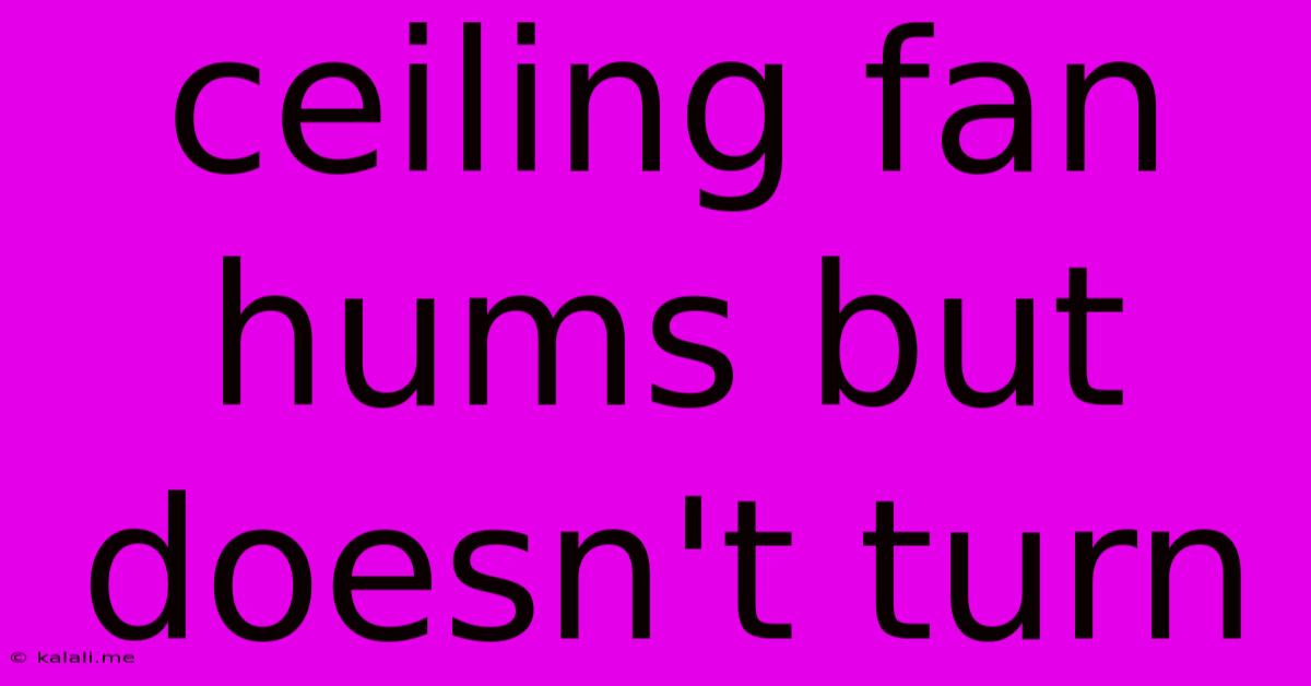 Ceiling Fan Hums But Doesn't Turn
