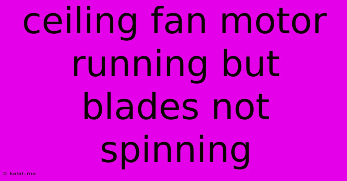 Ceiling Fan Motor Running But Blades Not Spinning