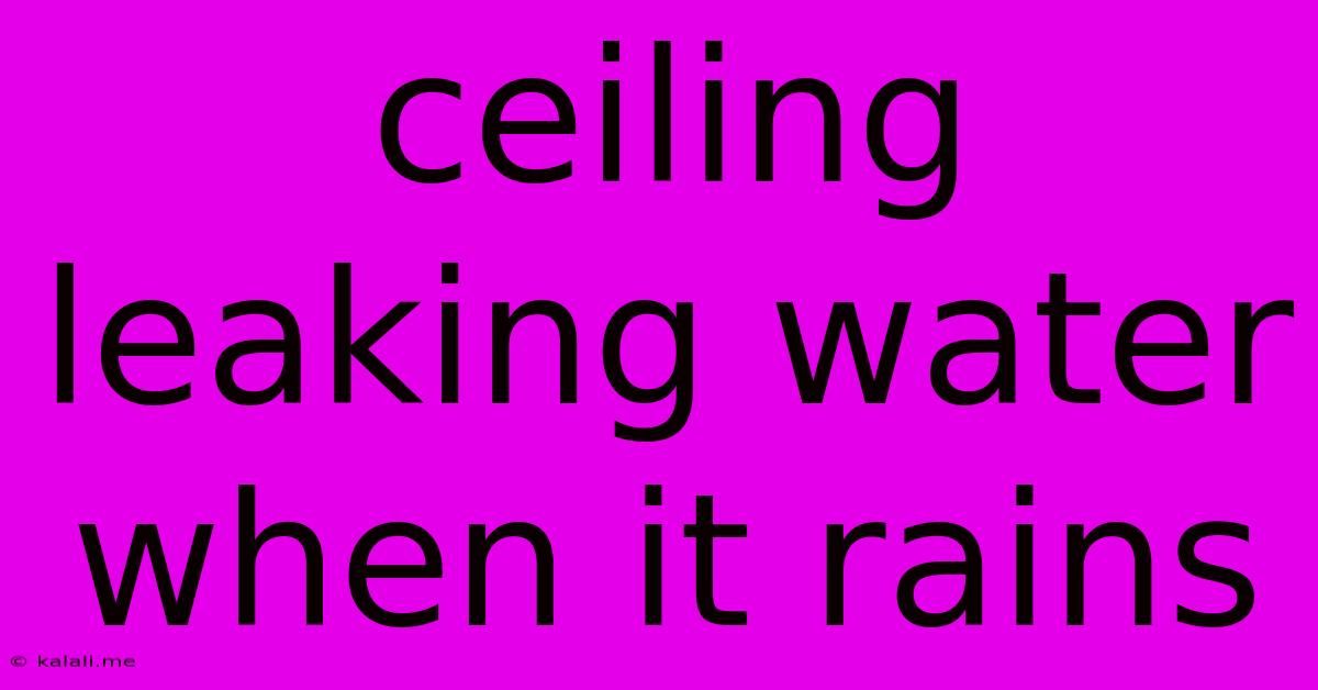 Ceiling Leaking Water When It Rains