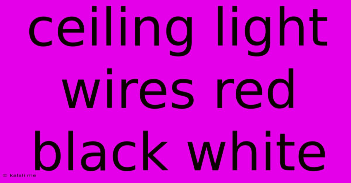 Ceiling Light Wires Red Black White
