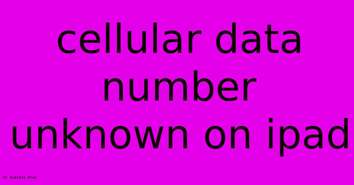 Cellular Data Number Unknown On Ipad
