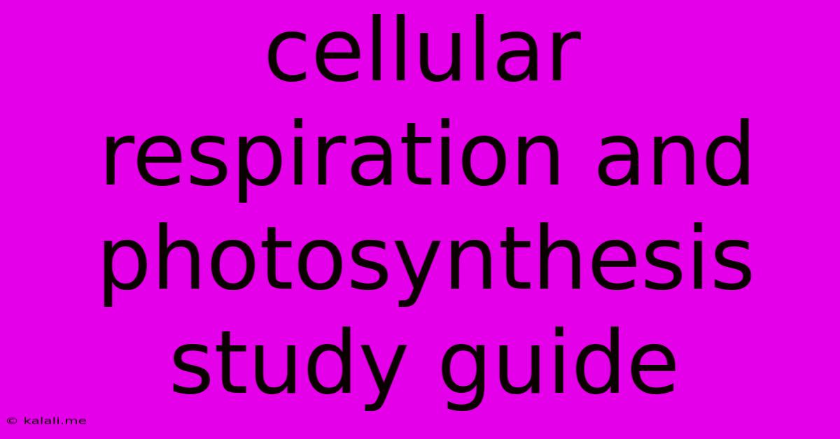 Cellular Respiration And Photosynthesis Study Guide