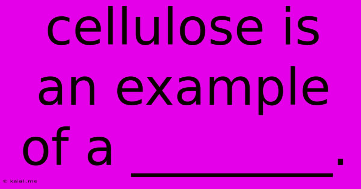 Cellulose Is An Example Of A ________.