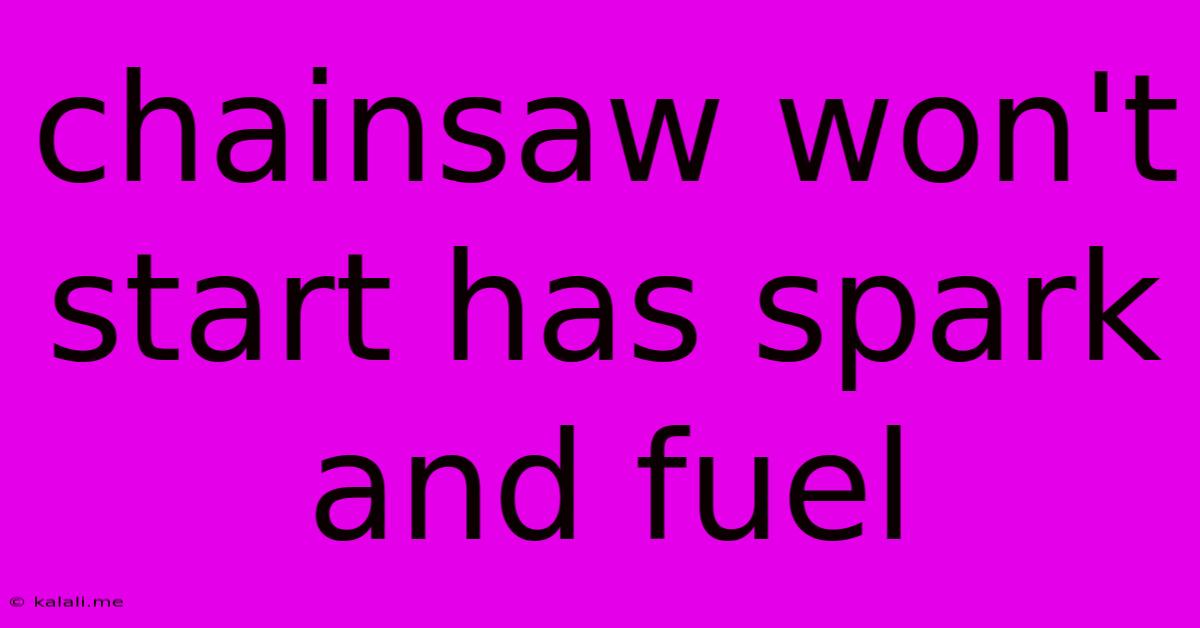 Chainsaw Won't Start Has Spark And Fuel