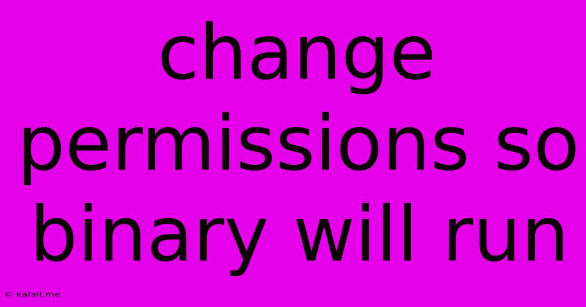 Change Permissions So Binary Will Run
