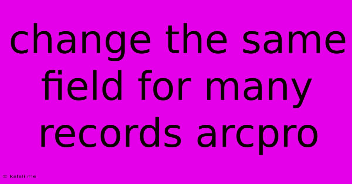 Change The Same Field For Many Records Arcpro