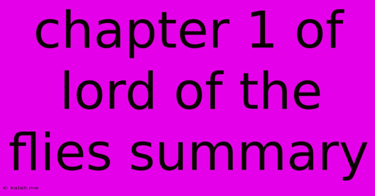 Chapter 1 Of Lord Of The Flies Summary