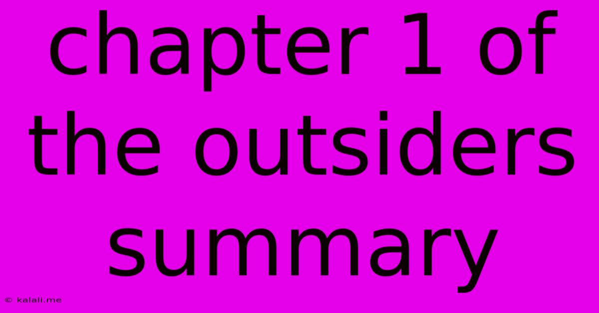 Chapter 1 Of The Outsiders Summary