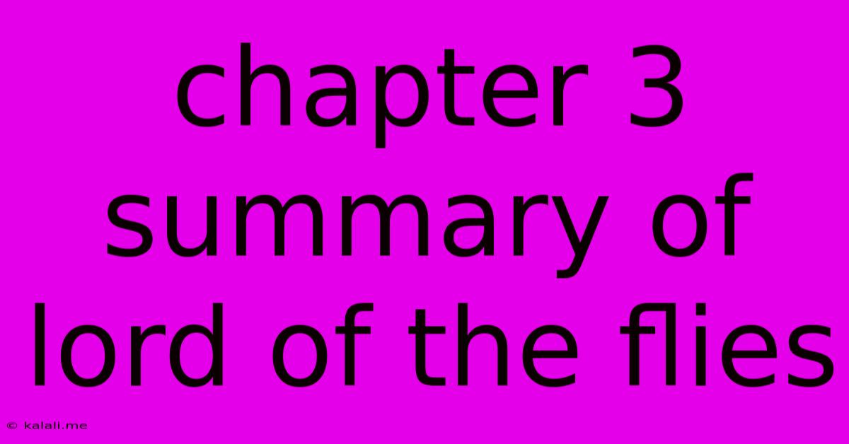 Chapter 3 Summary Of Lord Of The Flies