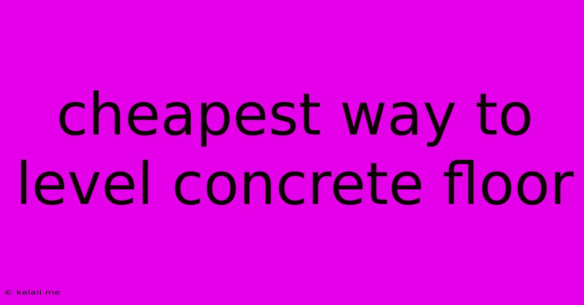 Cheapest Way To Level Concrete Floor