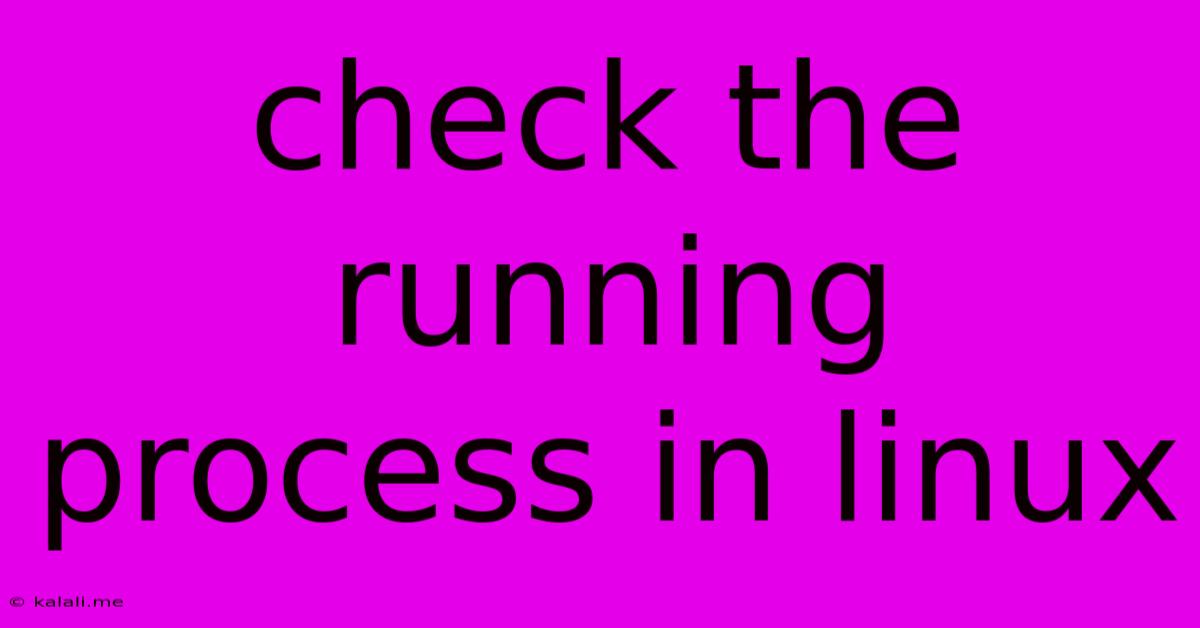Check The Running Process In Linux