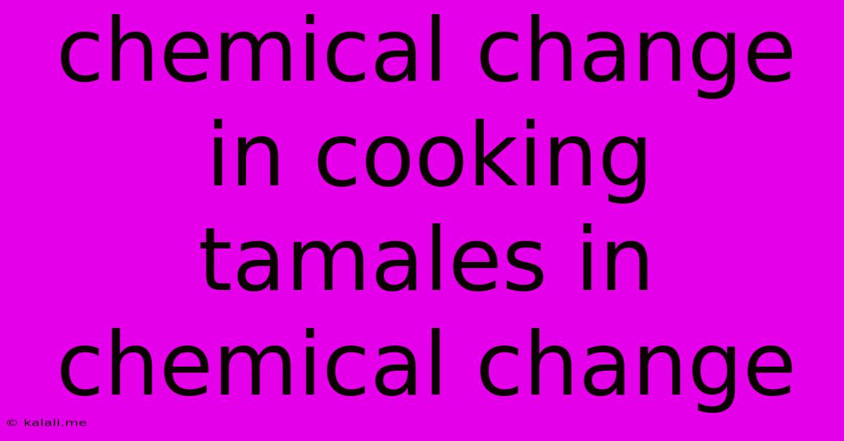 Chemical Change In Cooking Tamales In Chemical Change