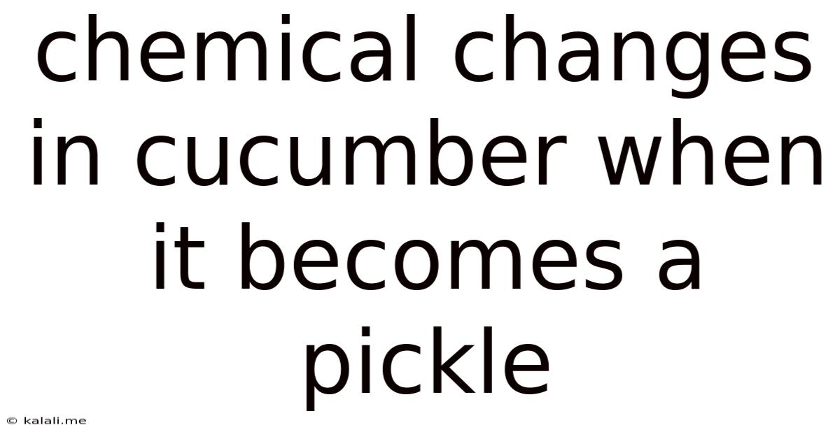 Chemical Changes In Cucumber When It Becomes A Pickle