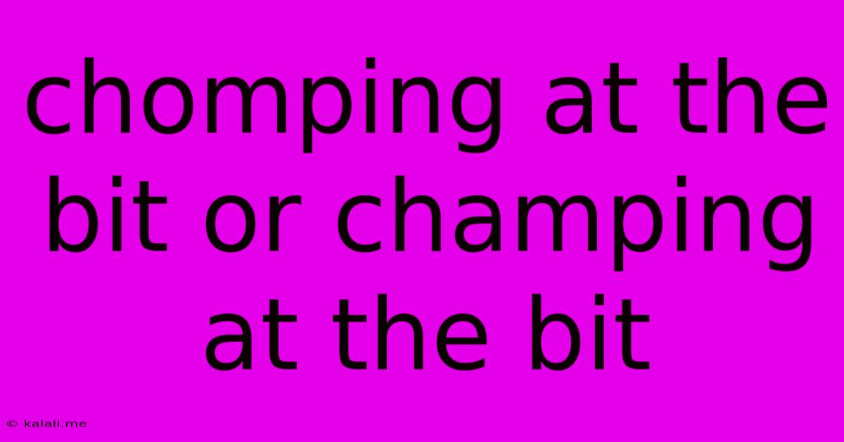 Chomping At The Bit Or Champing At The Bit