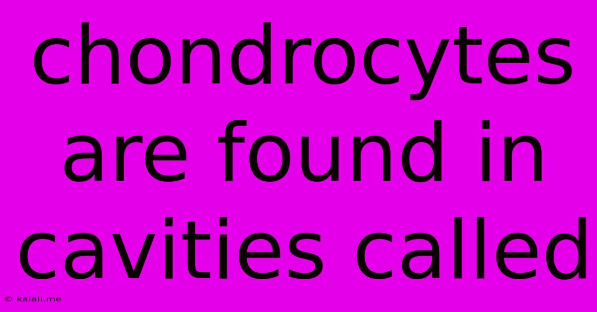 Chondrocytes Are Found In Cavities Called