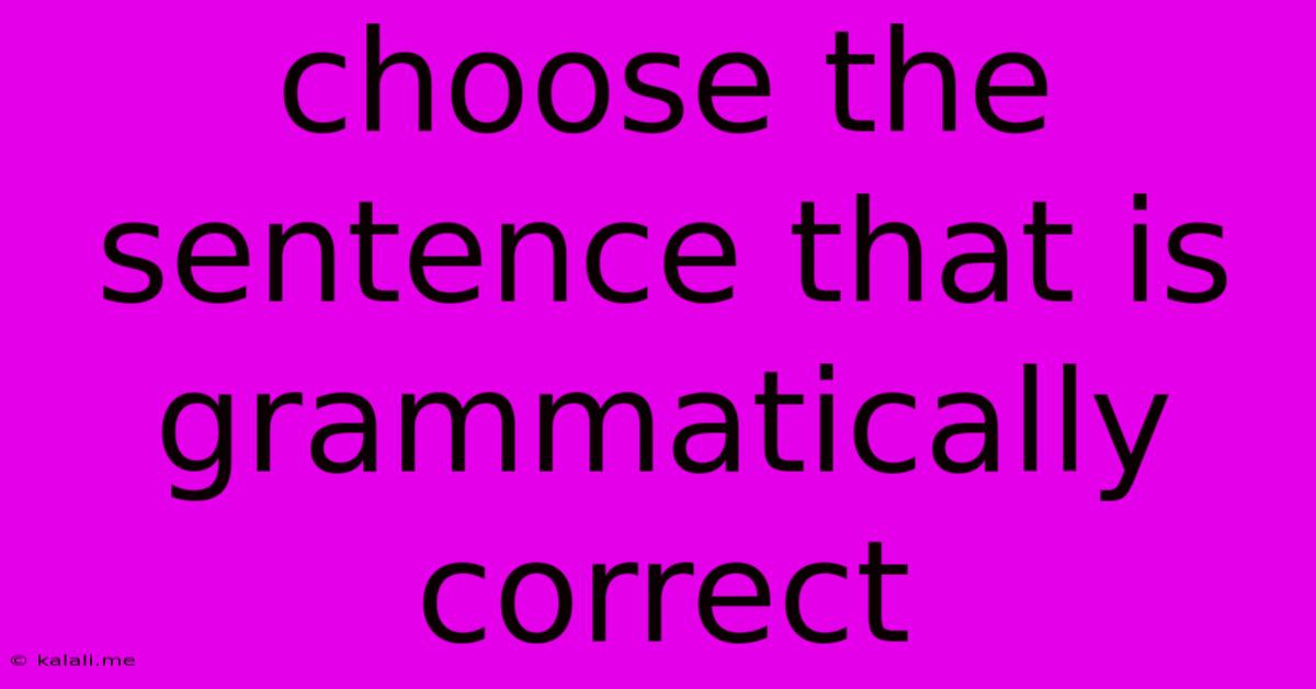 Choose The Sentence That Is Grammatically Correct