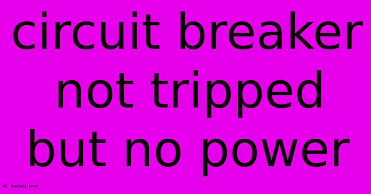 Circuit Breaker Not Tripped But No Power