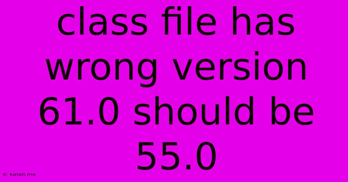 Class File Has Wrong Version 61.0 Should Be 55.0