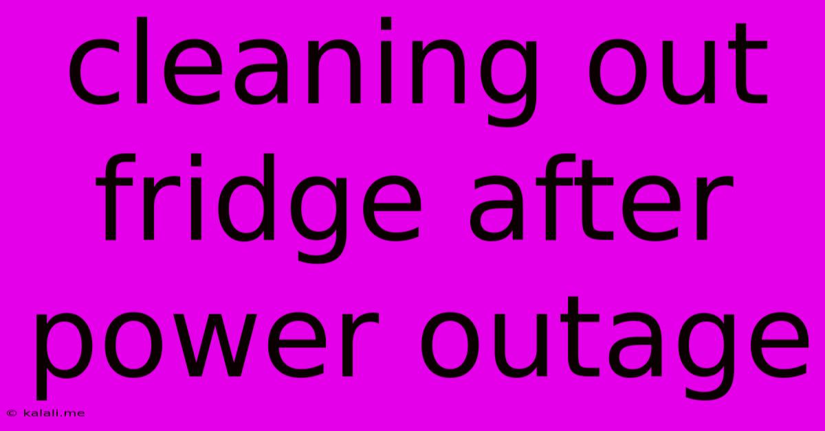 Cleaning Out Fridge After Power Outage