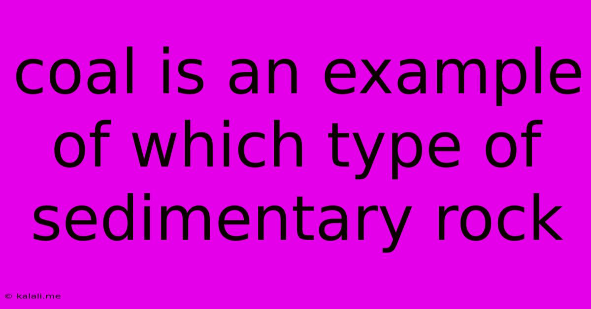 Coal Is An Example Of Which Type Of Sedimentary Rock