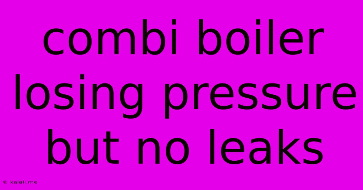 Combi Boiler Losing Pressure But No Leaks