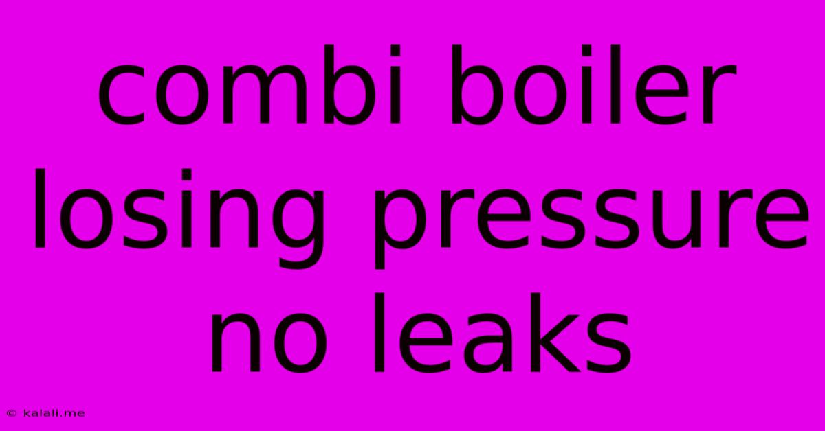 Combi Boiler Losing Pressure No Leaks