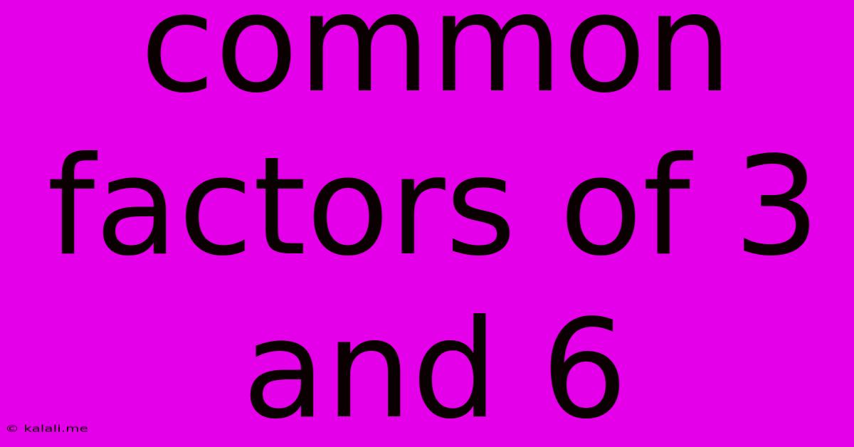 Common Factors Of 3 And 6