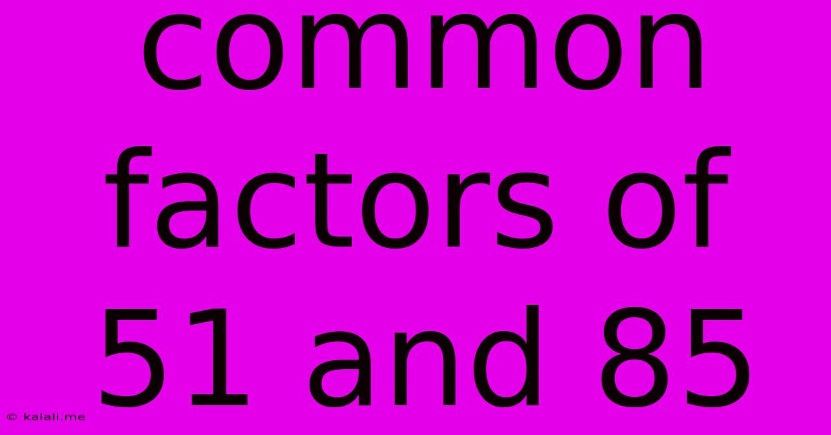 Common Factors Of 51 And 85