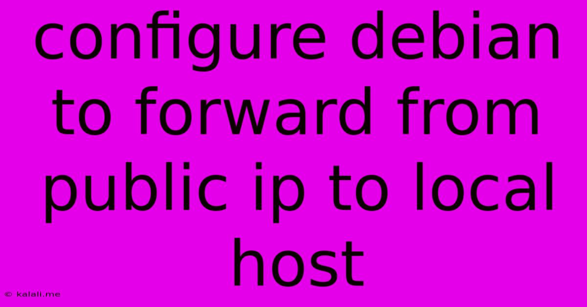 Configure Debian To Forward From Public Ip To Local Host