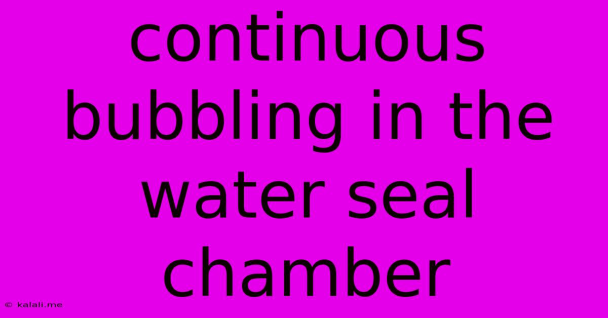 Continuous Bubbling In The Water Seal Chamber