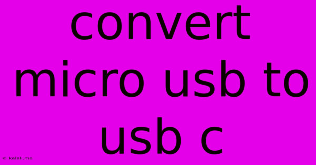 Convert Micro Usb To Usb C