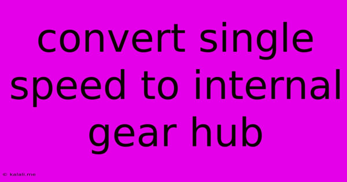 Convert Single Speed To Internal Gear Hub