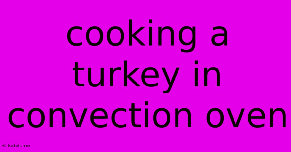 Cooking A Turkey In Convection Oven