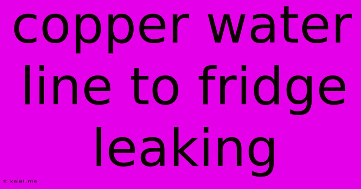 Copper Water Line To Fridge Leaking