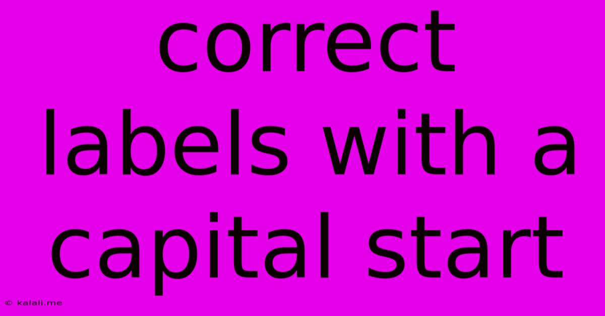 Correct Labels With A Capital Start