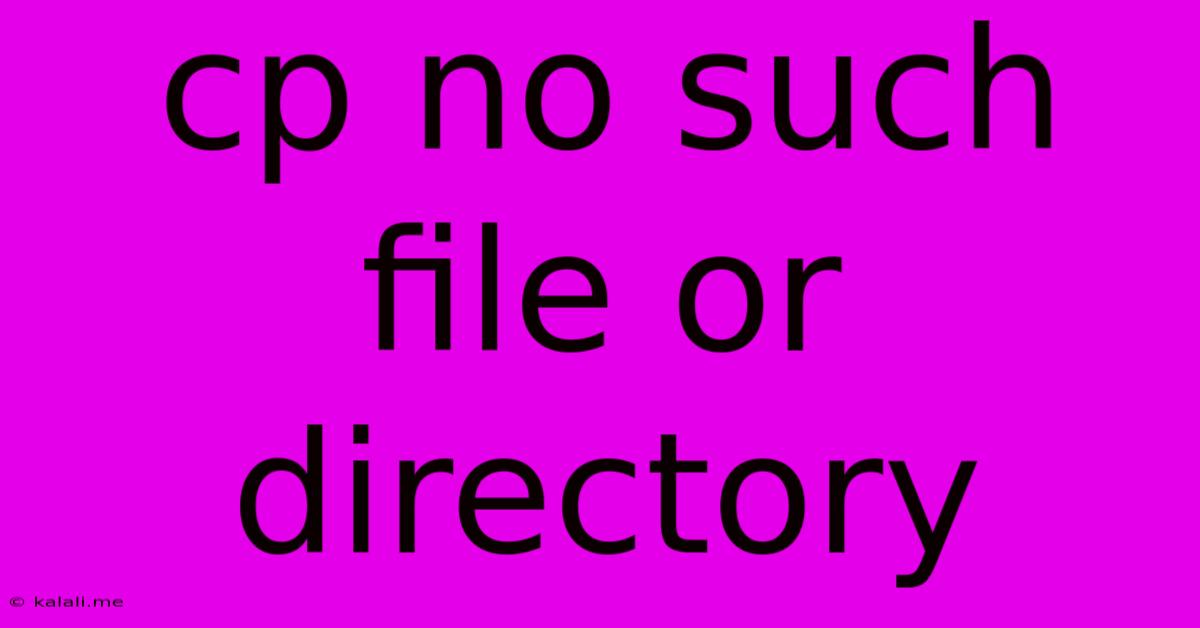Cp No Such File Or Directory