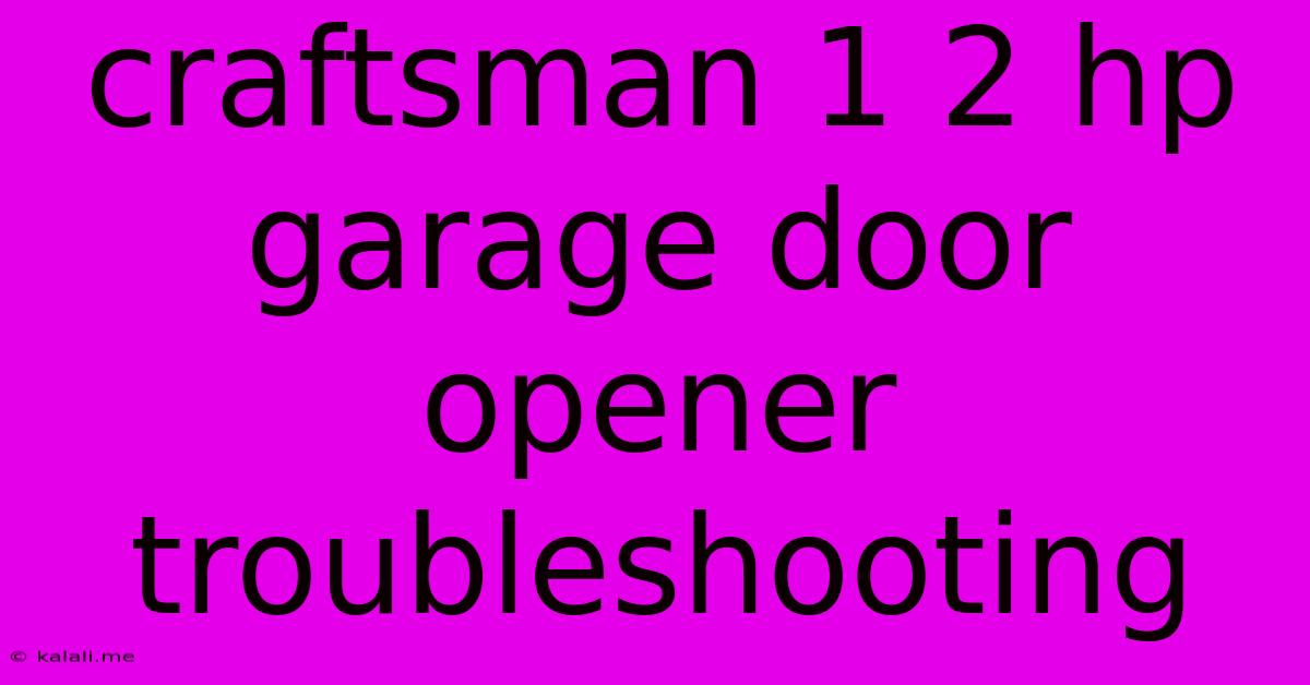 Craftsman 1 2 Hp Garage Door Opener Troubleshooting
