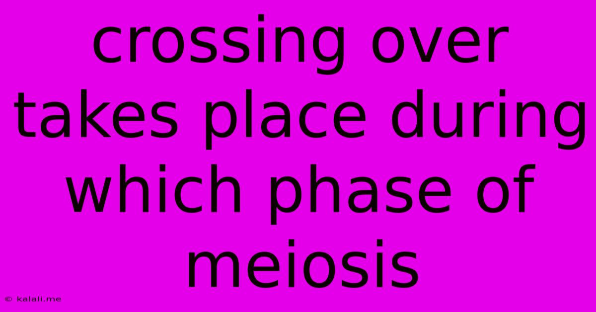 Crossing Over Takes Place During Which Phase Of Meiosis