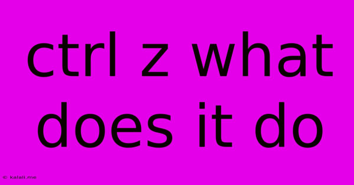 Ctrl Z What Does It Do