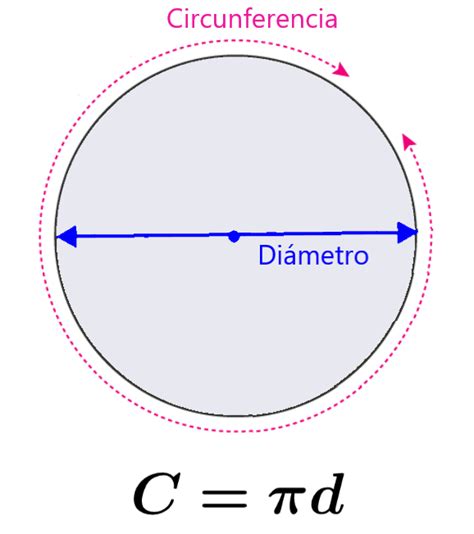 Cual Es La Circunferencia De Un Circulo