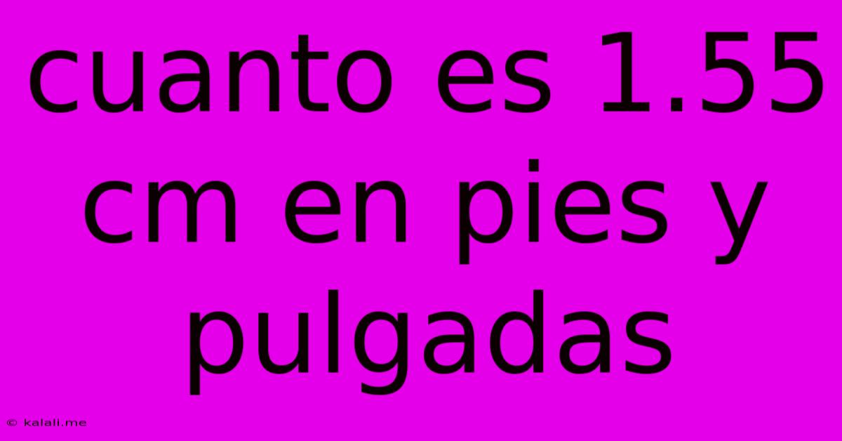 Cuanto Es 1.55 Cm En Pies Y Pulgadas