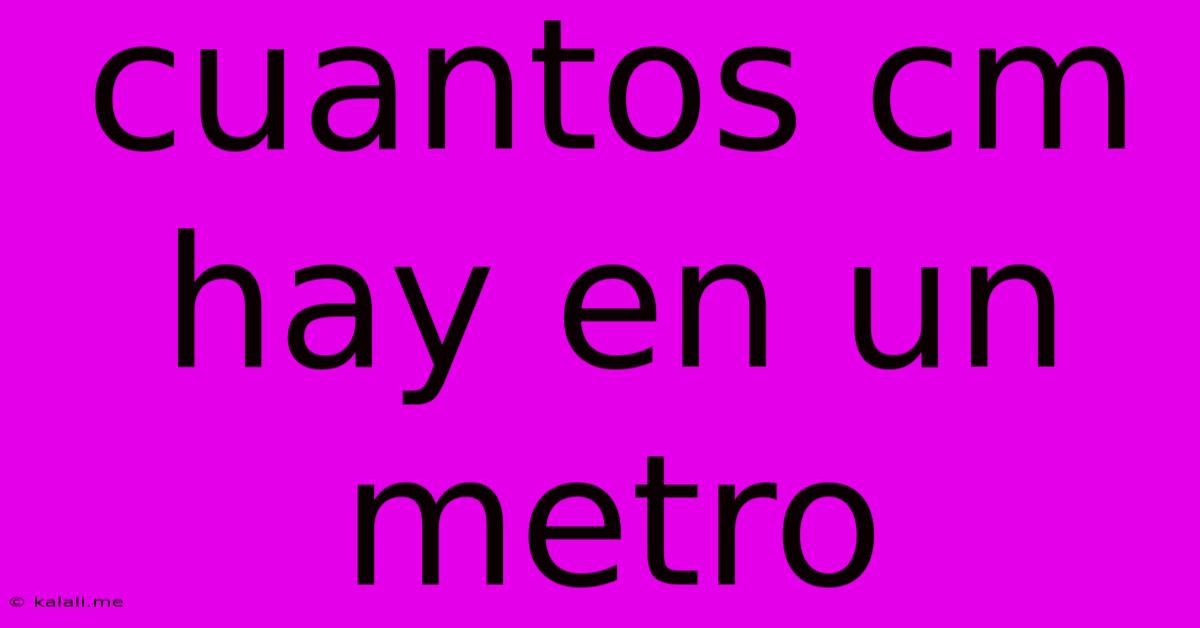 Cuantos Cm Hay En Un Metro
